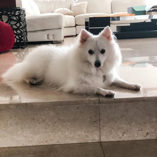 Can’t wait to get her hair and nails trim.