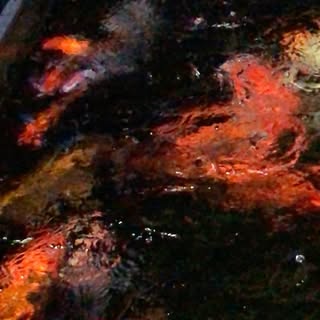 夜凉如水。阵雨突然袭击，雨声是一种百听不厌的音乐。感恩的心，人生时时刻刻都有惊喜。
Appreciating the simplest thing in life! 
#lifeisgood #hea