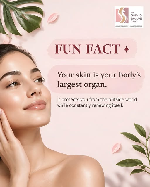 Your skin is always changing, renewing, and working to protect you.

But how much do you really know