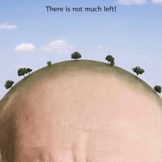 Strong roots need a healthy environment — just like your hair! 🌱

This World Environment Day, let’s