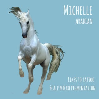 MICHELLE - ANDALUSIAN HORSE 
The hairline heroine herself! This bubbly beauty is a multi faceted sol
