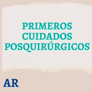 💼 KIT BÁSICO DE SUPERVIVENCIA
luego de hacer un injerto capilar.

1️⃣ La primera herramienta es usa