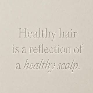Monday reminder. It always starts at the scalp. 🤍

#scalphealth #trichology #cherubtricho #canarywh