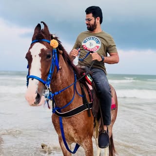 Therapy ❌ Horsepower Therapy ✅  #horse #horserider #marinabeachchennai🏖️ #beach #relaxation