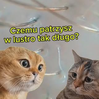 Jeśli ktoś z Was mierzy się z podobnymi przemyśleniami zapraszamy do współpracy z naszym zespołem! D