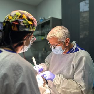 Nuestro equipo trabajando duro en el trasplante de hoy 💪🏻