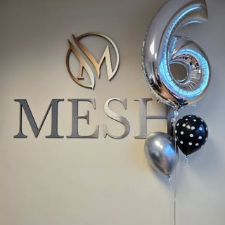 Last week, Mesh turned 6! 

Mesh has been keeping me incredibly busy.. and I didn't do the big photo