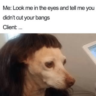 Who’s guilty of quarantine hair fails?😂 don’t worry, we got you 🥰