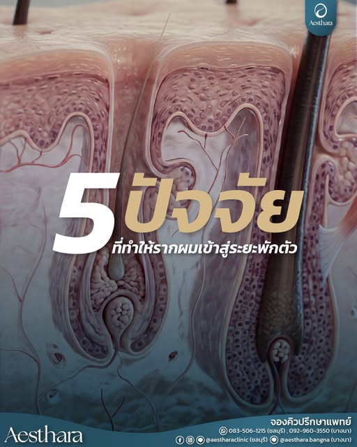 🔎 5 ปัจจัยที่ทำให้รากผมเข้าสู่ระยะพักตัว

เคยสงสัยไหมว่า…ทำไมบางช่วงถึงรู้สึกว่าผมร่วงมากขึ้น หรือเ