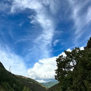 Trying to fit 8 days into 8 seconds. 🇧🇹🏔️✨
Bhutan, you were the kind of magic I’ll always remembe