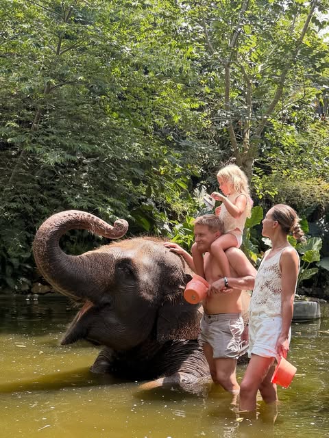 POV: miała być spokojna wycieczka, a skończyło się na przytulaniu orangutana, wężu na szyi i kąpieli