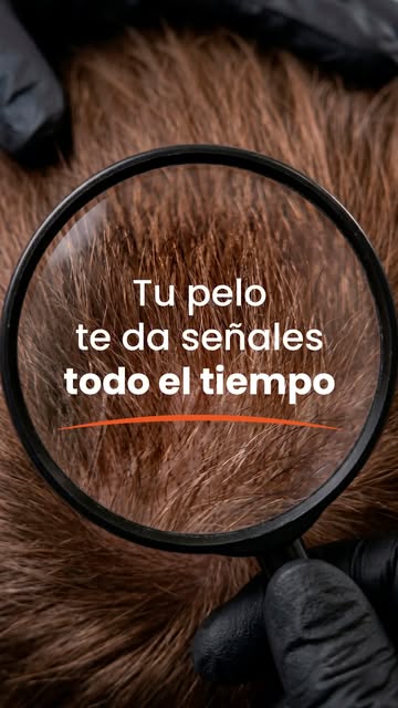 Tu pelo te habla todo el tiempo. El problema es que no siempre sabés lo que dice.

Cada señal, tiene