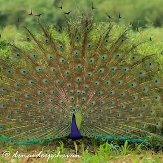 On behalf of world  photography day..keep clicking..