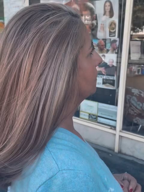 ✨ A 365 DAYS OF SILVER JOURNEY ✨

From chocolate brunette → soft ash → eventually that expensive sil