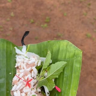 Peaceful day #thrissur #temple #vlog