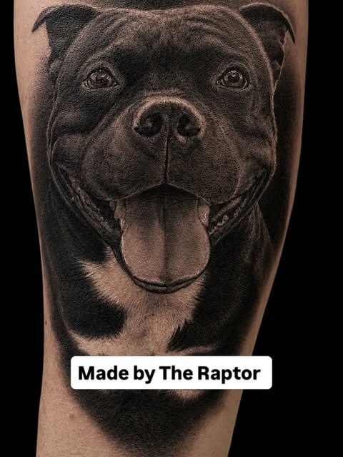 🦖 ROBERT RAPTOR
Internationaal grootmeester weer aan het werk bij Tattoo Bob!
Een vertrouwd gezicht