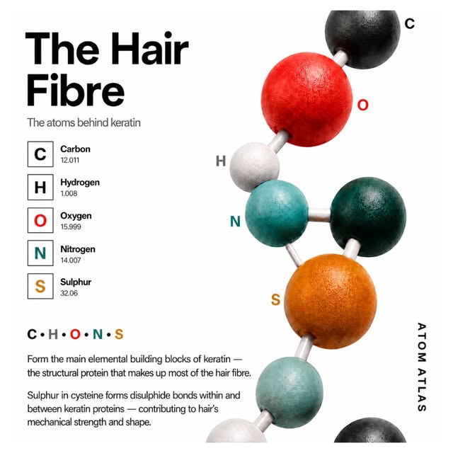 Hair may look simple, but at an atomic level, it is remarkably complex.

The hair fibre is made pred