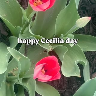 On March 31st, I remember and celebrate the life of Cecilia, a bright and soaring woman who changed 