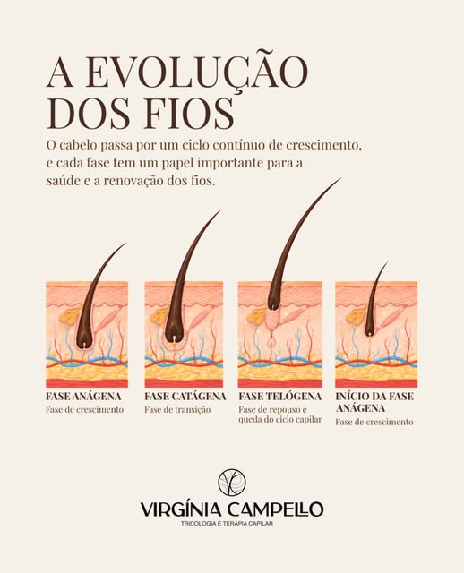 Assim como o nosso organismo, os fios passam por diferentes fases: crescimento, transição, repouso e