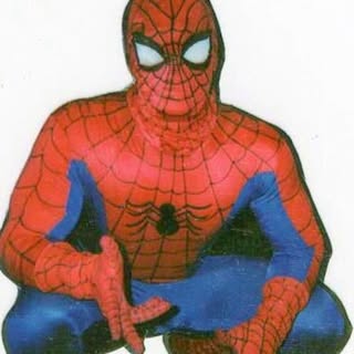 Hello everyone, Lee here! The release of Spider-Man: Brand New Day has me thinking back to my own we