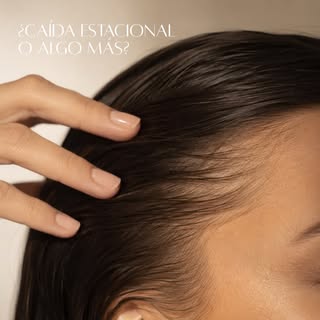 ¿Notas más caída del cabello al terminar el verano? 🍂

En esta época es habitual prestar más atenci