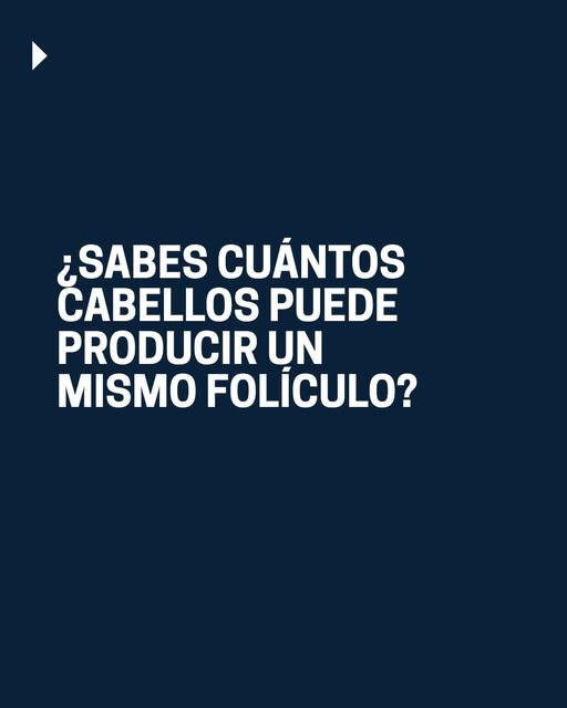 🧬 Aunque pueda parecer que cada poro produce un único cabello, la realidad es mucho más interesante