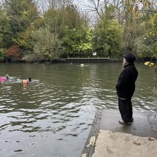 Spotted these ladies going for a swim this morning while on my river walk ..awww the simple things
