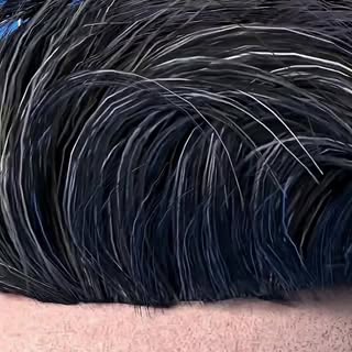 點解頭髮會變白？🤔🤔🤔

Why does hair turn white?🤔🤔🤔

#白髮 #髮型 #greyhair #whitehair