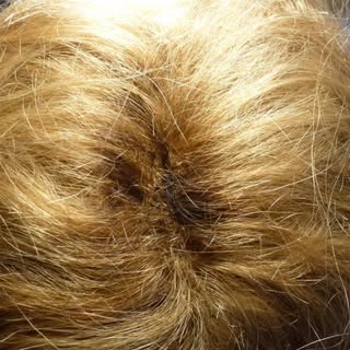 Wil je je haarwerk wat langer dragen ook al is hij kaler geworden?
Hij kan gewoon worden bijgeknoopt