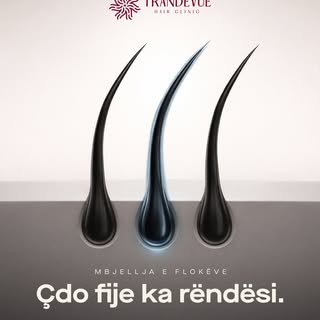 Në Trandevue, çdo fije e flokut ka rëndësi.

📍 Rezervo konsultimin FALAS dhe zbulo më shumë.

📞 +3