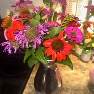 #flowerlovers  Fresh Flowers from our garden