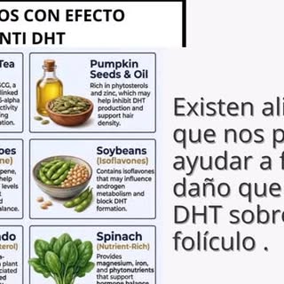 La nutrición saludable y la Alopecia.
Existen alimentos que contienen elementos que bloquean la DHT(