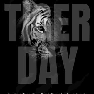 🐅 International Tiger Day 🧡

The roar of a tiger is more than a sound—it’s a reminder that nature 