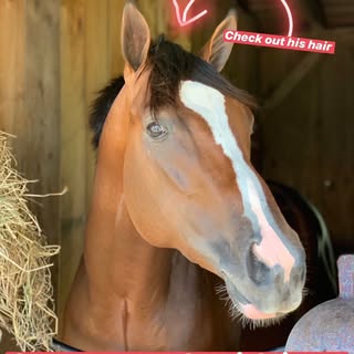 Find out if Low-Level Laser Light Hair Therapy can do for you what it did for our boy “Bellavia”
.
.