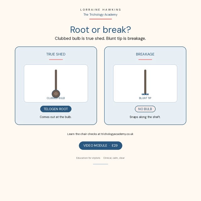 Root or break?

A clubbed bulb means true shed (telogen). A blunt tip means breakage along the shaft