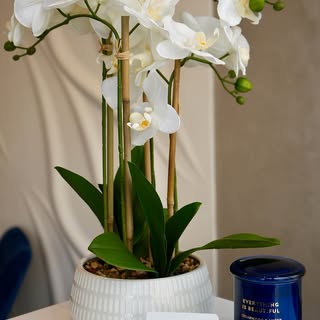 Not overdone, just done well.
Graft Hair Clinic understands how to keep things natural and refined.
