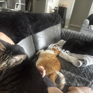 Guess I’m busy the rest of the day!