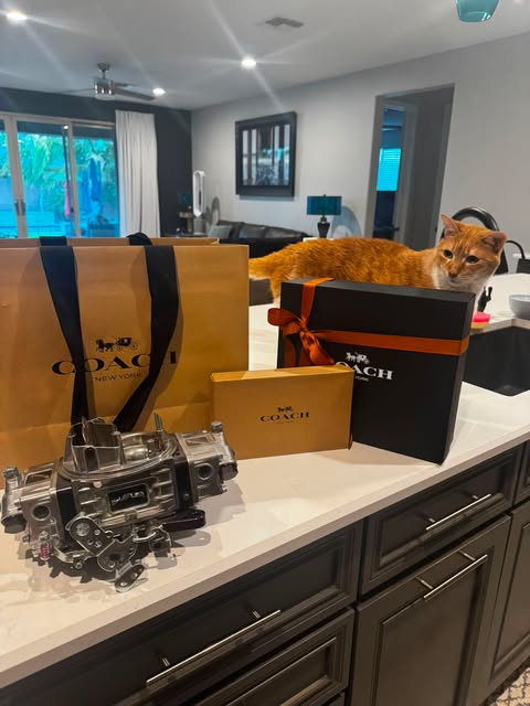 When you live with a car guy who says “I want to take you shopping for your birthday” I got Coach. A