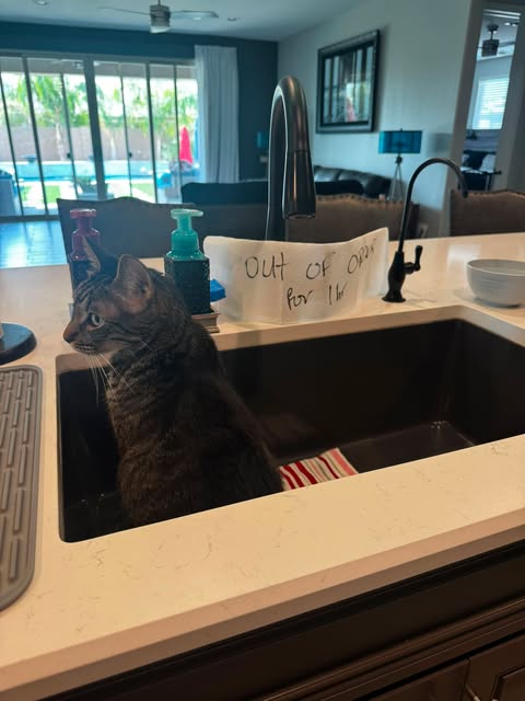 Sir! I know you read my sign 🤷‍♀️
