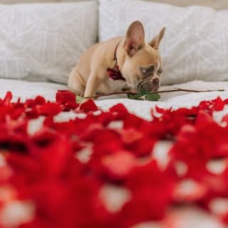 HAPPY VALENTINES DAY!!

Photo courtesy of Karsten Winegeart
