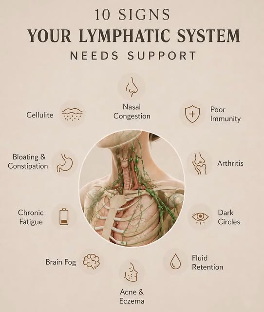 Depuff, detox, & reset your body from the inside out.

Lymphatic drainage massages do way more than 