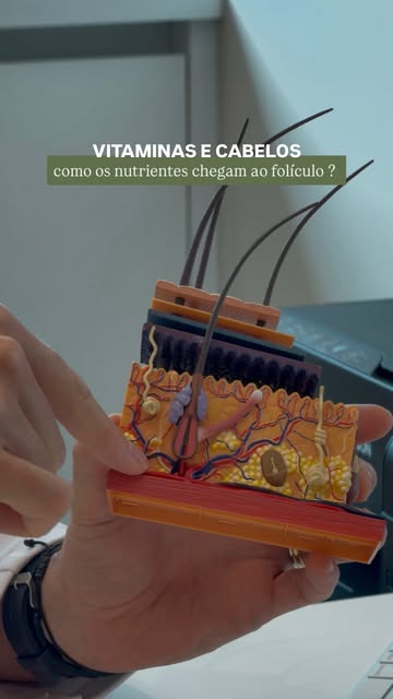 💊 Você toma uma vitamina e ela vai direto para o cabelo? Não exatamente! 👀

Os nutrientes são abso