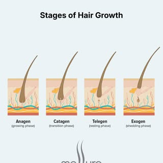 Understanding your hair growth cycle is important for recognizing what's normal. 

Your scalp contai