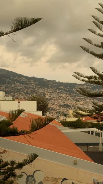 Um dia que começa cedo e termina na Madeira. ✈️🌿

Entre aeroporto, viagem e trabalho, o destino é a