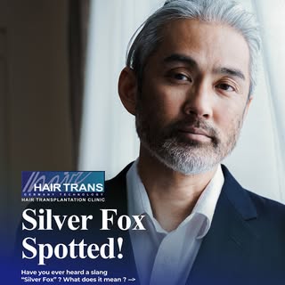 A silver fox is a slang term for an attractive middle-aged or older man who has gray or white hair. 