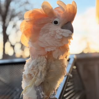 Spring is near!