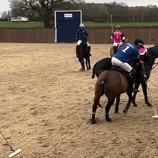 Winter Season Highlights  #2