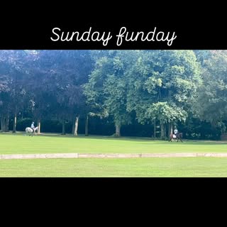 Club chukkas , great fun !