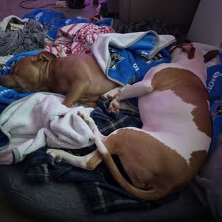 I love my babies!!!!