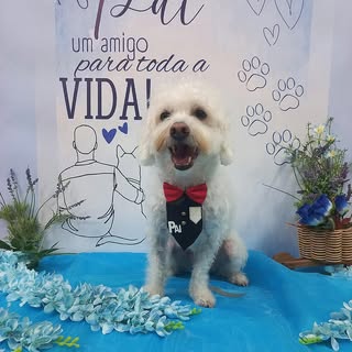 Martinho !!

Ter um aumigo para a vida toda é o melhor presente! 

Feliz dia dos Pais! 🐶🐾🥰

#amor